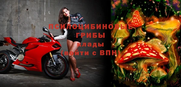МДПВ Алексин