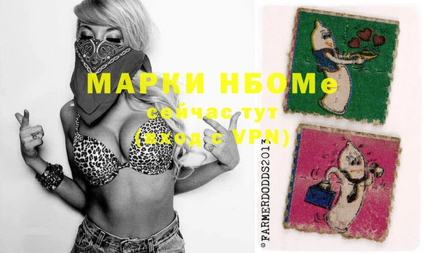 МДПВ Алексин