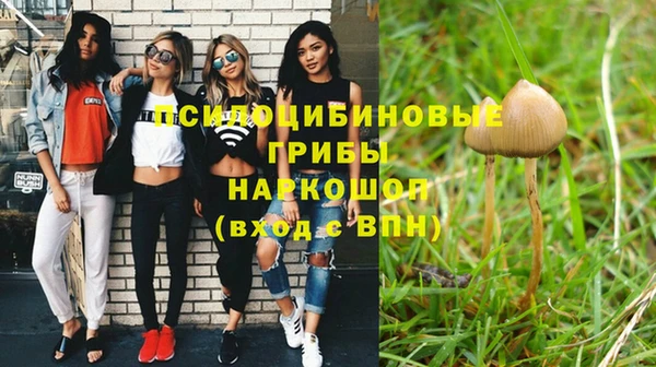 винт Саяногорск